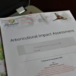 Arboricultural services