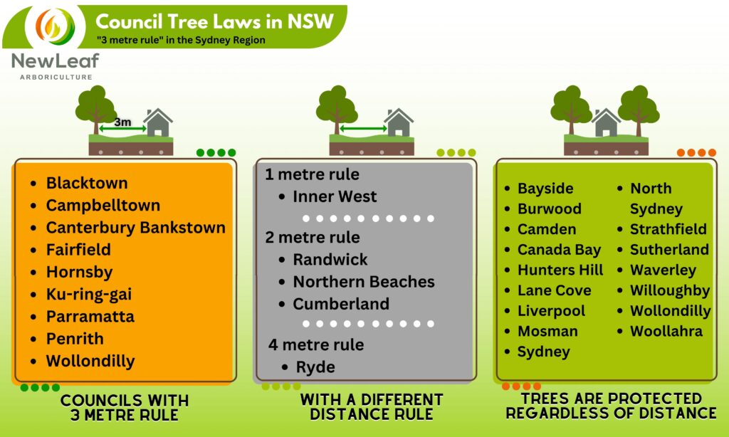Which Councils have a 3m rule for trees
