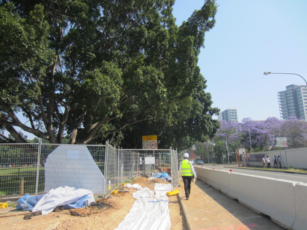 Effectively protecting urban trees on development sites